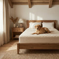 Purevana wool mattress protector on bed with dog — pet-friendly natural bedding